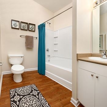 Blanford model master bath